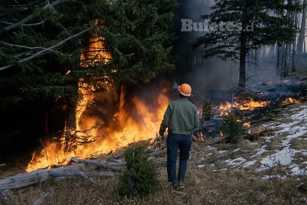 Incendios forestales: las penas que arriesgan los responsables