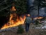 Incendios forestales: las penas que arriesgan los responsables