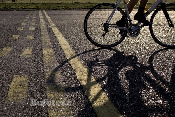 Ley de Convivencia Vial: nuevas normas para conductores, ciclistas y peatones