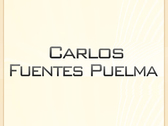 Carlos Fuentes Puelma