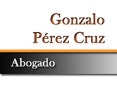 Gonzalo Pérez Cruz