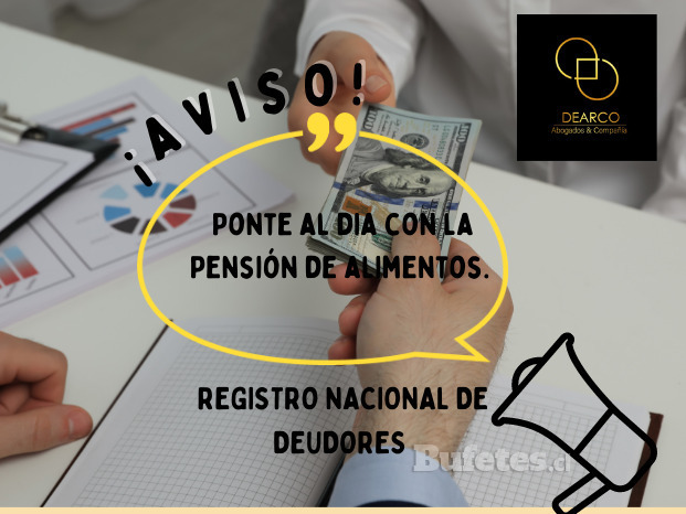 REGISTRO NACIONAL DE DEUDORES DE PENSION DE ALIMENTOS