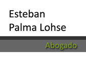 Esteban Palma Lohse