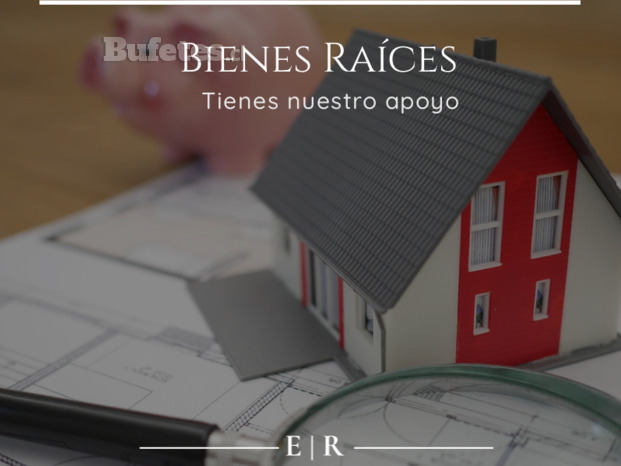 Bienes Raices