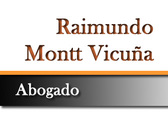 Raimundo Montt Vicuña